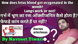 Patent Ductus Arteriosus Ductus Arteriosus Blood circulation in fetus and umbilical cord [upl. by Aicats]