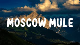 Bad Bunny  Moscow Mule LetraLyrics [upl. by Bradleigh383]