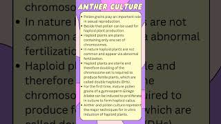 ANTHER CULTURE in 60 secs feedshorts biologyshorts factshorts biotechnology agriculture ptc [upl. by Eniagrom]