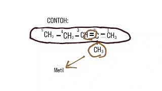 penamaan alkena [upl. by Aelrac940]