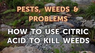 How to Use Citric Acid to Kill Weeds [upl. by Ettennej]