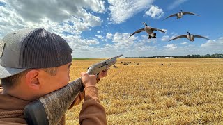 Goose Hunting Opening Day  Early Season 2023 [upl. by Meredi]