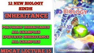 INHERITANCE MDCAT ONE SHOT PART 2  POLYGENIC INHERITANCE  EPISTASIS MADE EASY  EASIST CONCEPT [upl. by Vallonia]