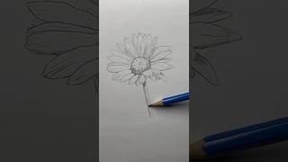 Draw a flower 🌸 Easy drawing lesson for beginners on how to draw a flower drawinglessonhowtodraw [upl. by Annehs]