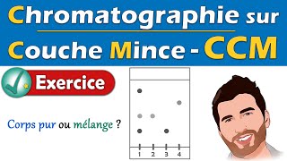 Exercice  CCM 🧪 Chromatographie sur Couche Mince  Physique Chimie  Lycée [upl. by Attenej]