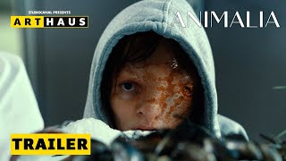 ANIMALIA  Trailer Deutsch  ab 11 Januar 2024 im Kino [upl. by Robinet]