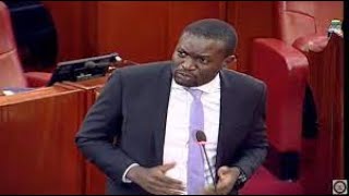 🔴LIVEFIREWORKS IN SENATE CHAMBER OVER GENZ REJECTED FINANCE BILL [upl. by Adnohr]