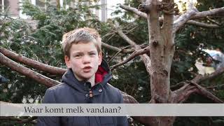 Wat is gezonde voeding volgens kinderen [upl. by Baryram]