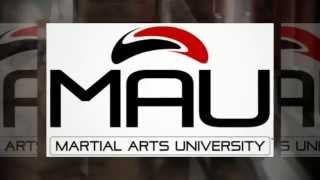 Taekwondo Charlotte Martial Arts  Charlotte Martial Arts University [upl. by Maier332]