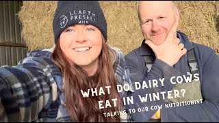 What do DAIRY COWS eat in WINTER An EXPERT talks [upl. by Arikal]