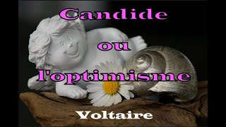 Voltaire  Candide ou loptimisme  chapitre 1 2 et 3  Livre Audio [upl. by Goldshlag]