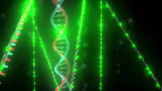 Stellaris RNA Fluorescence In Situ Hybridization FISH Mechanism [upl. by Deenya571]