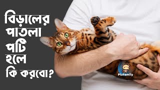 জেনে নিন বিড়ালের পাতলা পায়খানাপটি হলে কি করবো  Biraler Patla Paykhana Hole Ki Korbo  PiuFamily [upl. by Adrial]