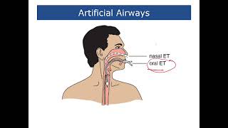 Fundamentals of Nursing  Lecture 22 Oxygenation  Part 3 [upl. by Nich485]