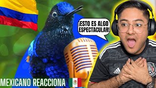 HIMNO NACIONAL DE COLOMBIA quotinterpretado por su biodiversidadquot  COP16   Mexicano Reacciona 😱🇨🇴 [upl. by Gneh547]