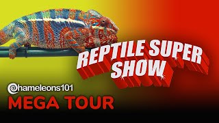 2022 Pomona CA Reptile Super Show Mega Tour By Chameleons101com [upl. by Senga880]