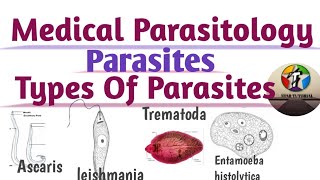 Medical Parasitology in hindi ll Parasites ll Types Of Parasites [upl. by Eesdnil993]