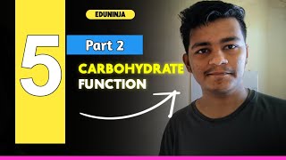 The Essential Role of Carbohydrates in Our BodyFunction of Carbohydrates [upl. by Eelyam]