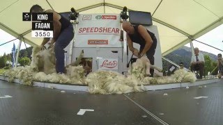 Speed Shearing action at Hilux New Zealand Rural Games 2015 [upl. by Norton563]