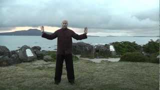 Between Heaven and Earth  full 20 minute Qigong practice session [upl. by Teeniv]