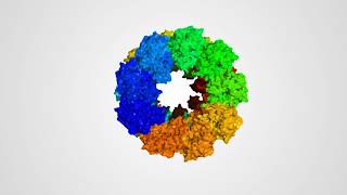 Enhancing enzyme activity in poultry feed using MESP nanotechnology [upl. by Huesman975]