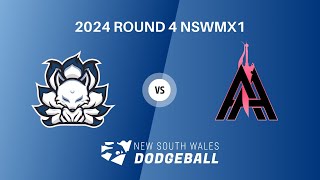 2024 NSWDL R4 Mens Div 1 Canterbury Nines vs Arcadia Assassins [upl. by Emoreg504]