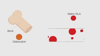 How Do Vitamins D3 amp K2 Work Together [upl. by Adnirod866]